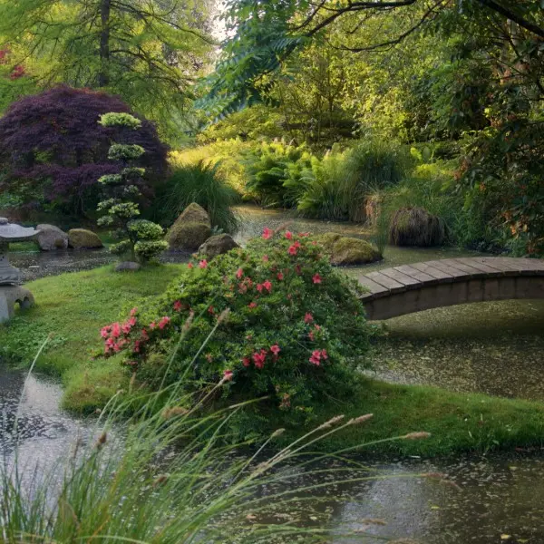 Parc Botanique de Haute Bretagne - Jardins du Soleil Levant