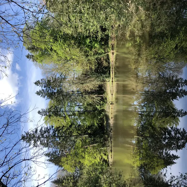 Parc de la Tour Duguesclin