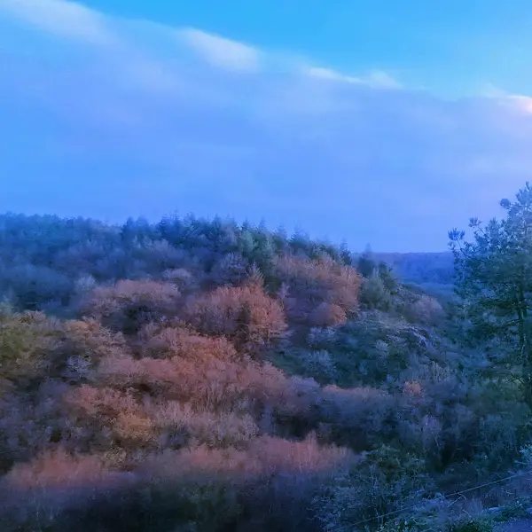 balades_contées_gouter_hiver_valsansretour_trehorenteuc_DestinationBroceliande