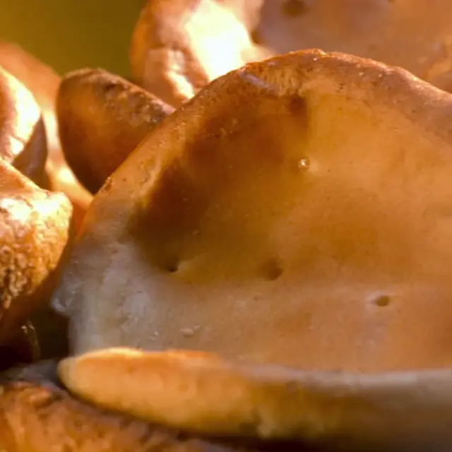 Les Craquelins de Saint-Malo