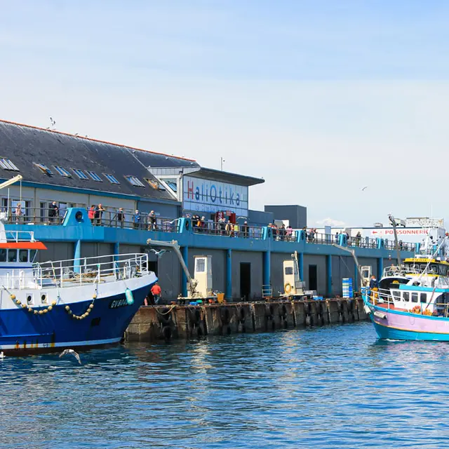 Haliotika - La Cité de la Pêche