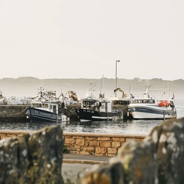 Port-de-Tredrez-Locquemeau - 3 - 2