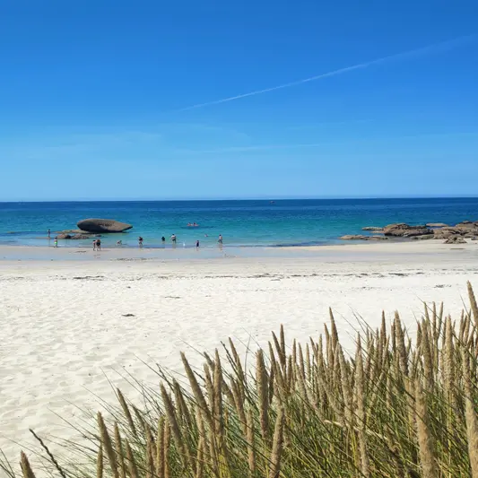Plage de la Baleine