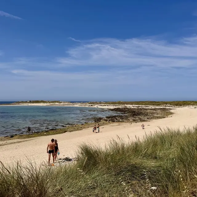 Plage du Dourlin - Ile-Grande  (4)