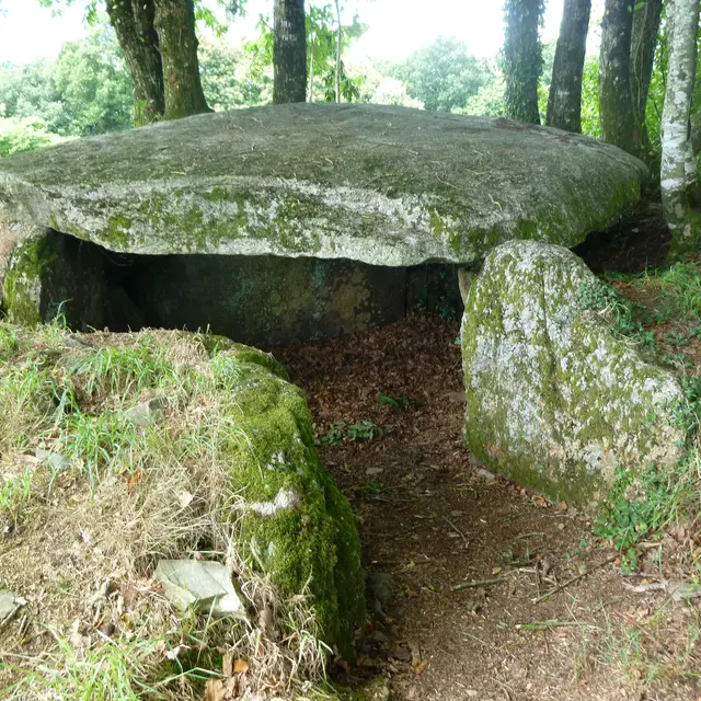 Plumelec Milgourdy©OT CMC