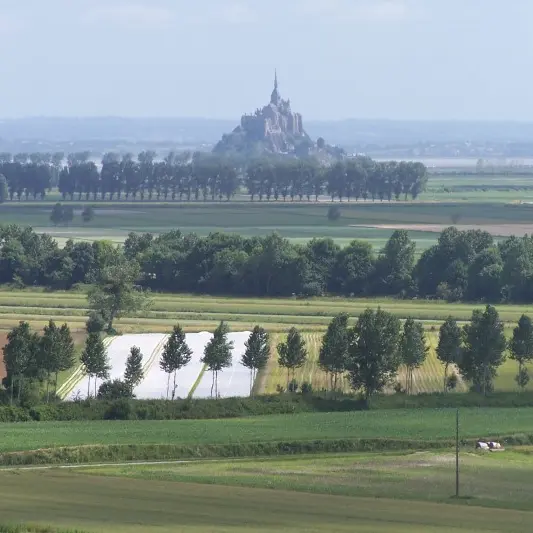 Roz sur couesnon - Circuit panoramique et circuit des polders photos 043