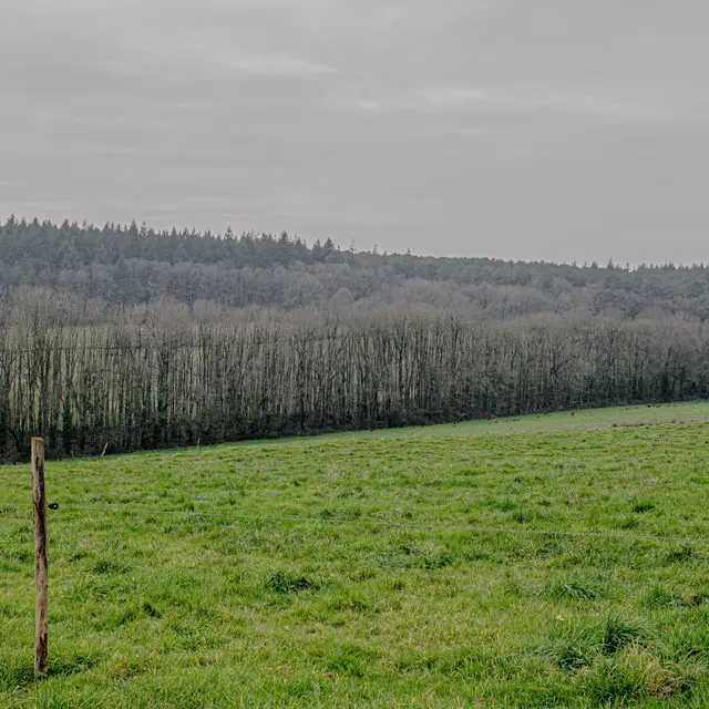 SAINT-GANTON - bourg_madoline bauthamy) (5)