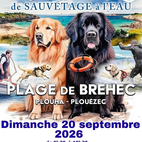 SAUVETAGE BREHEC