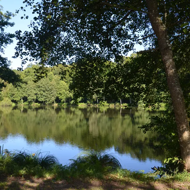 ST-JACUT-LES-PINS - Etang de Bodean_otpr - 1