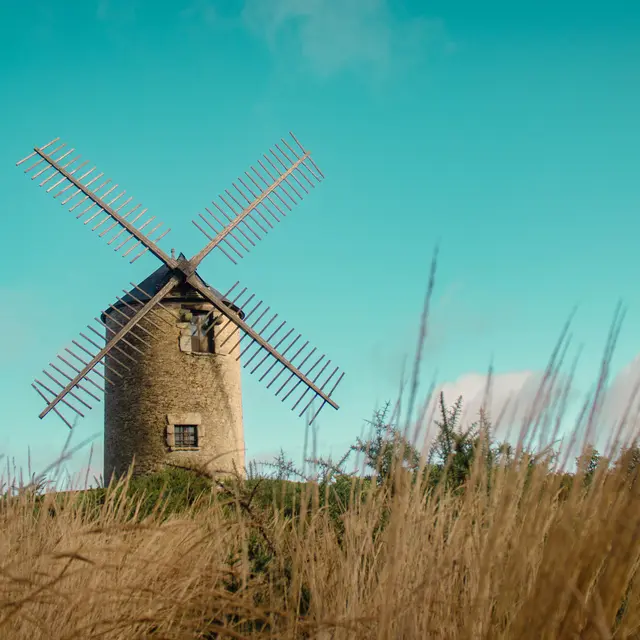 ST-JACUT-LES-PINS - La Butte Des Moulins_madoline bauthamy (4)