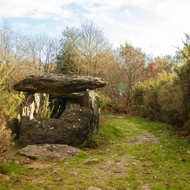 ST-JUST - Dolmen de Tréal- bauthamy madoline (1)