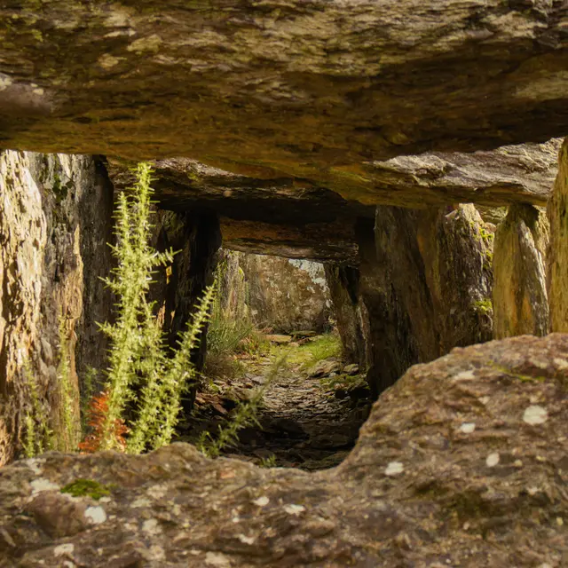 ST-JUST - Dolmen de Tréal- bauthamy madoline (2)