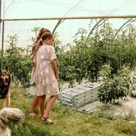 Les Jardins des Coccinelles - Un lit au pré