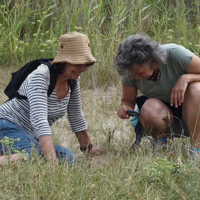 Saute-Ruisseaux_Balade