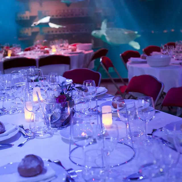 Table dîner - Location Salle - Grand Aquarium - Saint-Malo