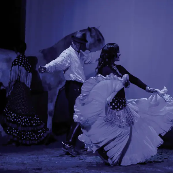 Théâtre équestre de Bretagne, La Gacilly, Destination Brocéliande, Bretagne