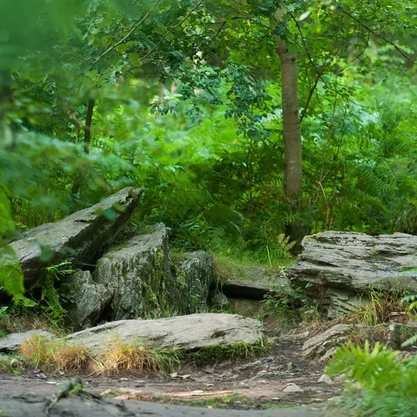 Tombeau du Géant - Campénéac - Brocéliande - Bretagne