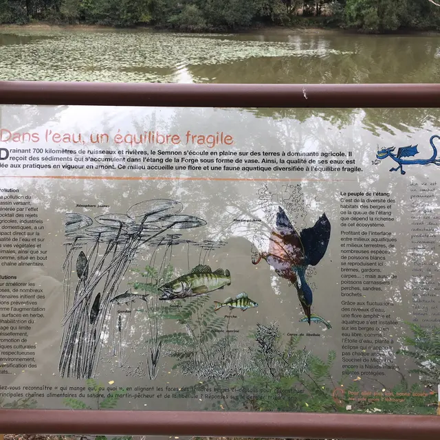 Tourisme_Martigné_sentierinterprétation6©RocheaauxFéesCommunauté