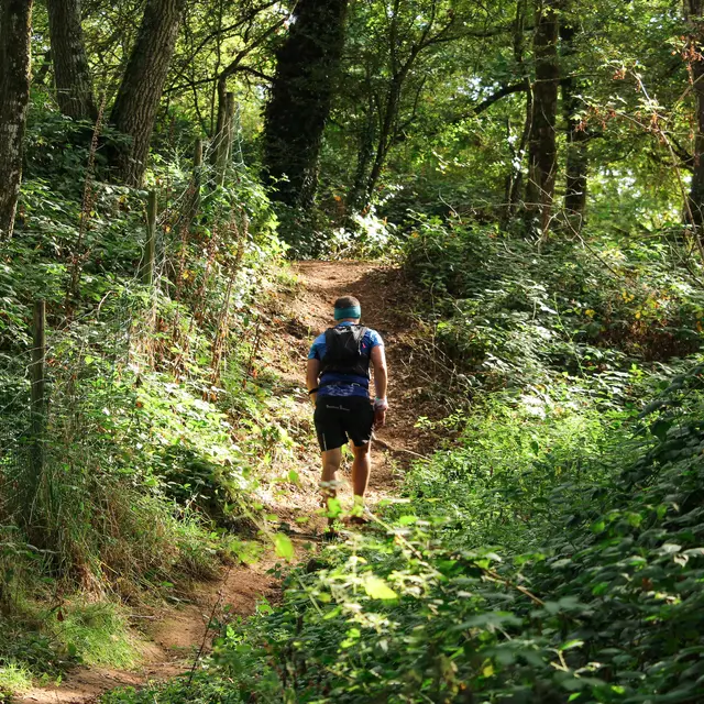 Trail des Légendes de Brocéliande ©Sarah ANNE (174)-2