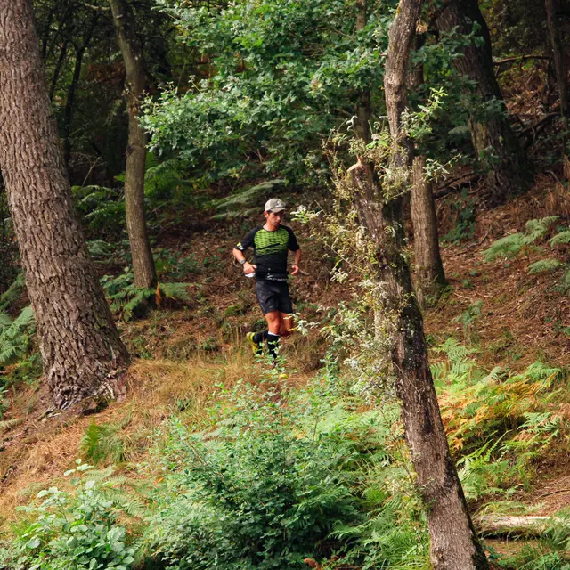 Trail des Légendes de Brocéliande