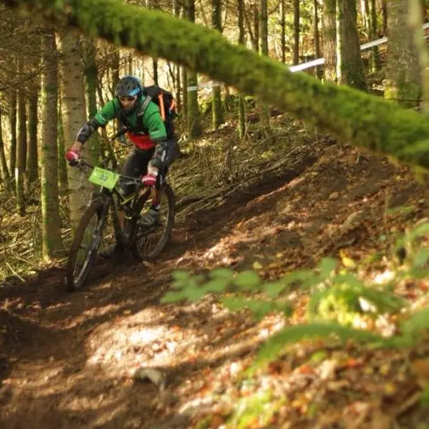 VTT Brocéliande