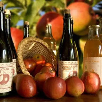 Vergers bio latapie cidre