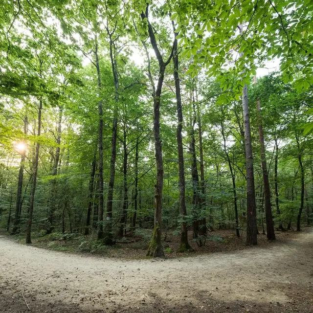 Vern sur Seiche Bois De Soeuvres