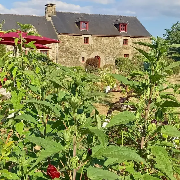 Visuel Jardins d'Ewen@