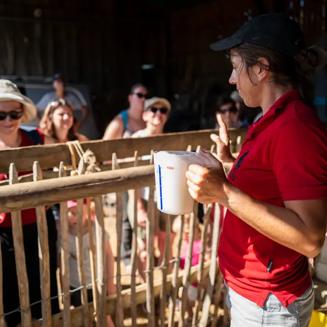 Visite Producteur en famille (2) ©Vitré Communauté - Mathieu Le Gall (2022)