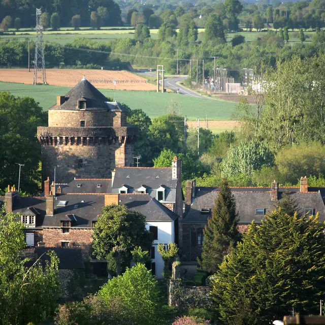 Vue panoramique sur la tour de Papegault - Montfort - ©Office de Tourisme