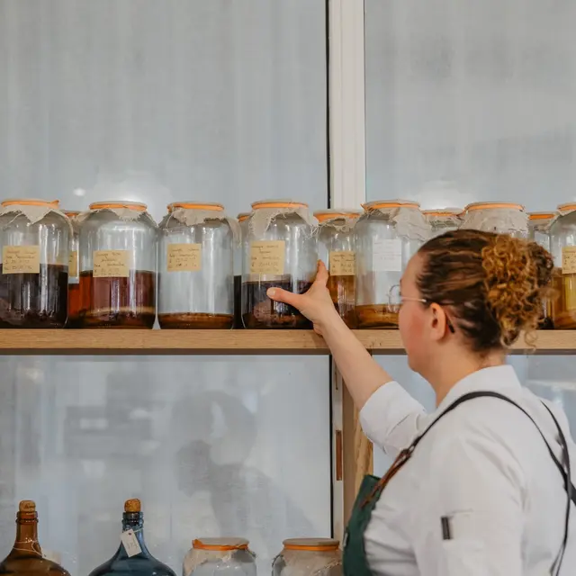 Alimentation vivante