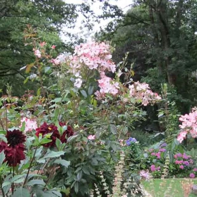 jardin-de-caradec-st-nolff-morbihan-bretagne-sud