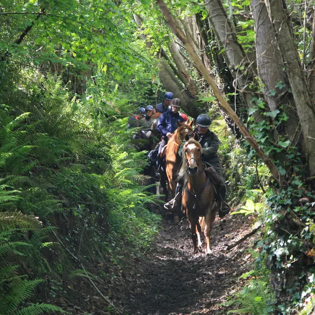 sentier équestre