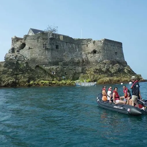 Albatros Lines Navigation