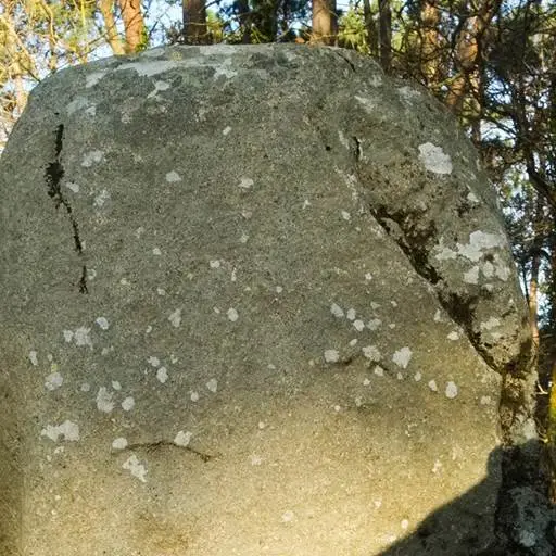 Alignements de Coet er Blei Erdeven - Morbihan Bretagne sud (1)