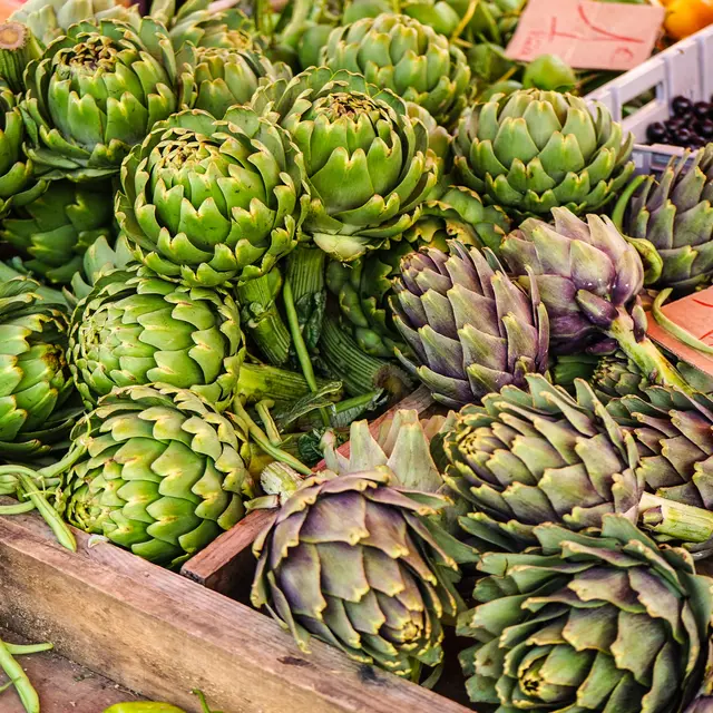 artichaud©jonas-ducker_unsplash