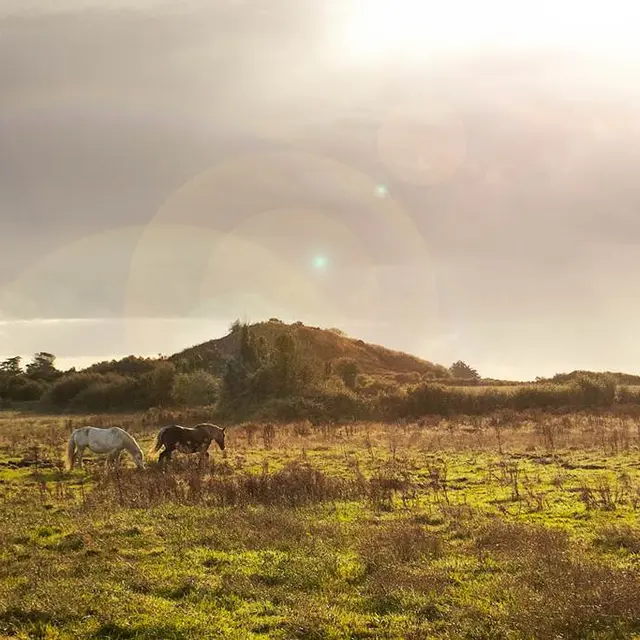 La Butte de César - Arzon - Presqu'île de Rhuys - Golfe du Morbihan