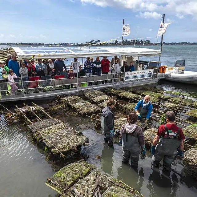 Au-Rythme-des-Marées-Baden-Golfe-du-Morbihan-Bretagne sud