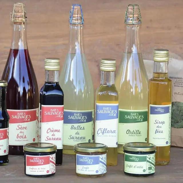 baiessauvagesetcie-mernel