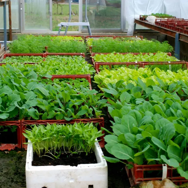 bellevuesurlpotager1