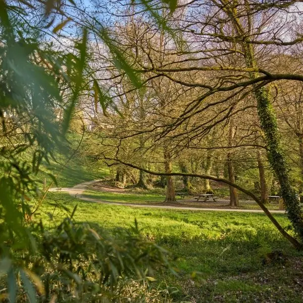 Bois -  amour - Josselin - Destination - Brocéliande
