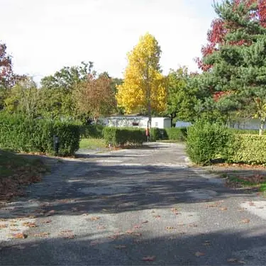 bois-feuillet-martigne