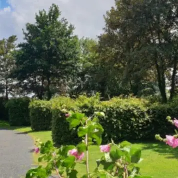 camping_chardonneret_2