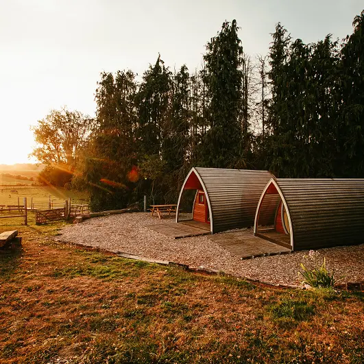 Aux cabanes des biches