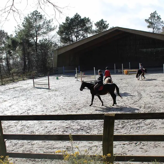Centre-équestre-Botsegalo-Morbihan-Bretagne-Sud