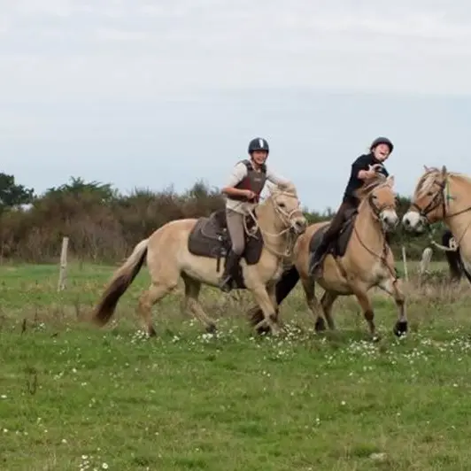 Centre-Equestre-Sentiers-du-Riellec-Sarzeau-Presqu'île-de-Rhuys-Golfe-du-Morbihan-Bretagne sud