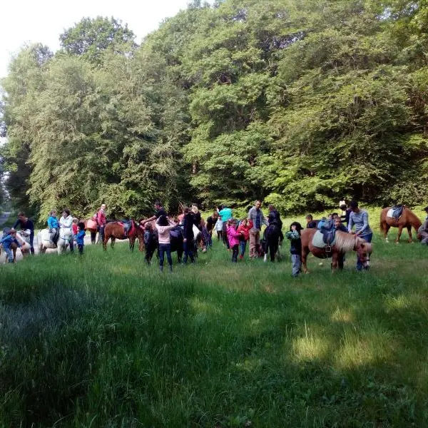 centre-equestre-mi-foret-liffre