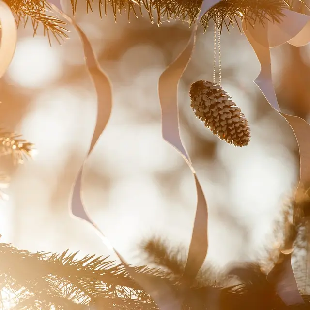 christmas-3486261_1280_Pixabay