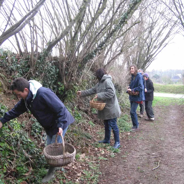 cueillette