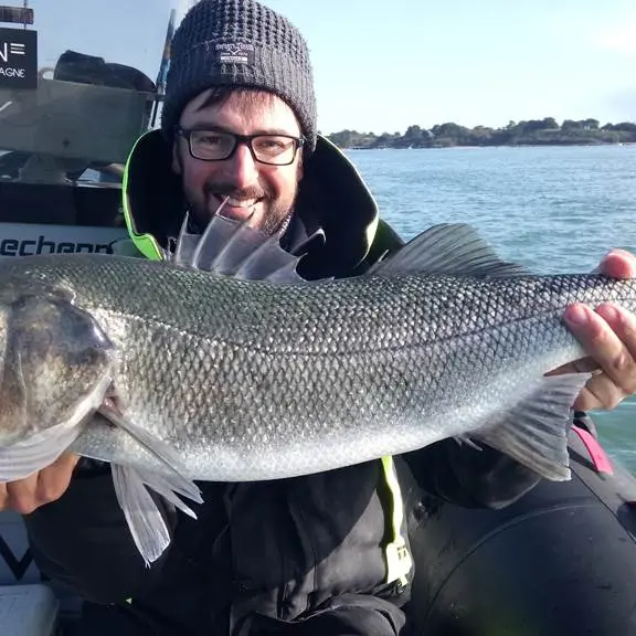 Un des plus gros Bar de la saison 2019 ...une journée de pêche historique !